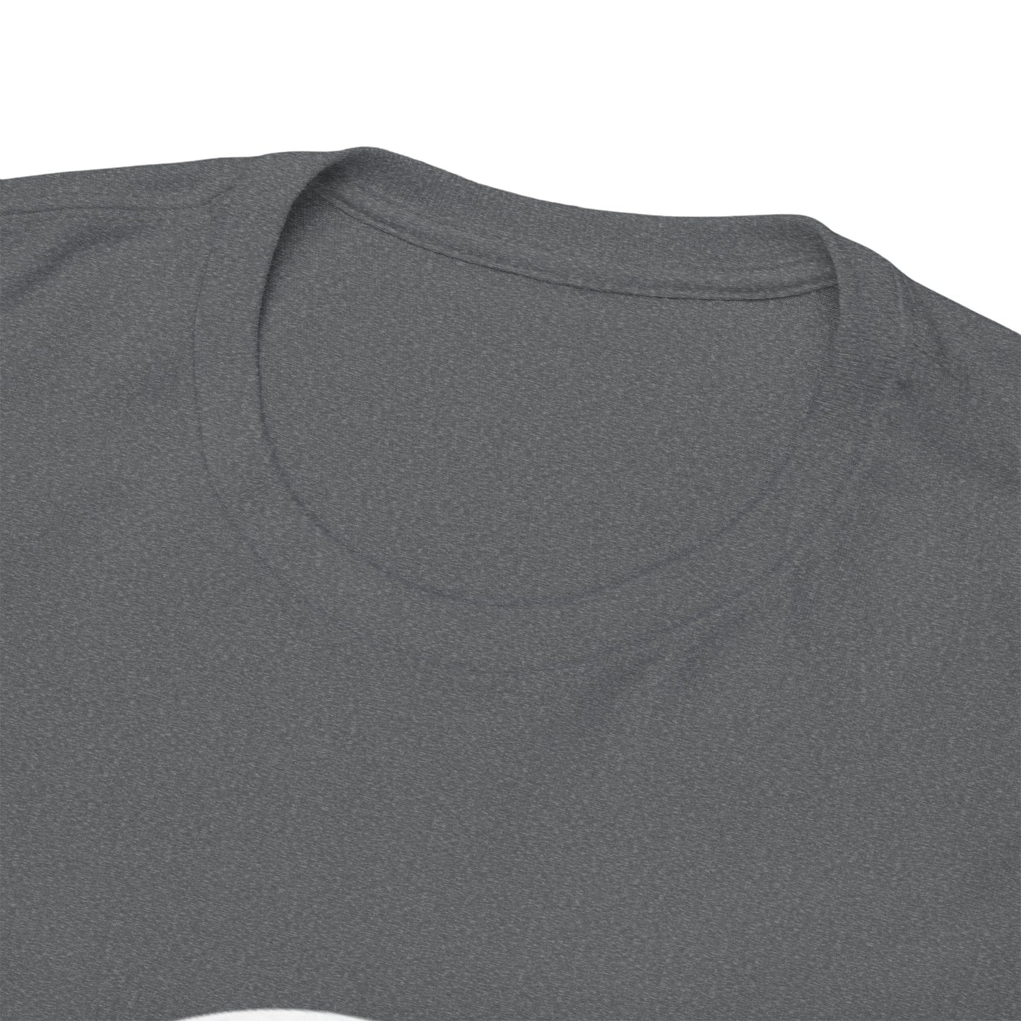 Retro Graphic Tee, Heavy Cotton Tee, Vintage T-Shirt, Statement Shirt, Casual Wear, Gift for Graphic Tee Lovers