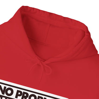 No Problem Graphic Hoodie, Unisex Cozy Sweatshirt, Casual Streetwear, Gift for Friends, Everyday Wear, Fun Fashion