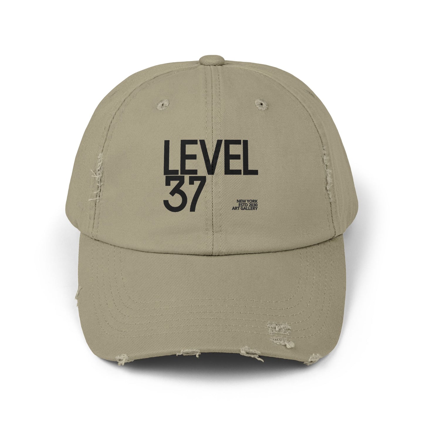 Distressed Cap for Milestone Celebrations, Casual Style, Birthday Gifts, Level Up Theme, Everyday Wear