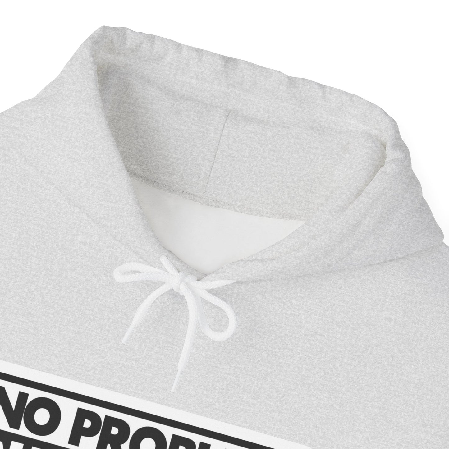 No Problem Graphic Hoodie, Unisex Cozy Sweatshirt, Casual Streetwear, Gift for Friends, Everyday Wear, Fun Fashion