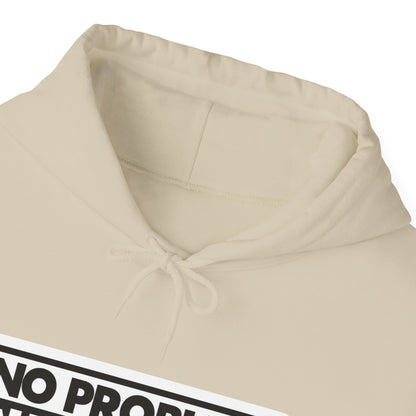 No Problem Graphic Hoodie, Unisex Cozy Sweatshirt, Casual Streetwear, Gift for Friends, Everyday Wear, Fun Fashion