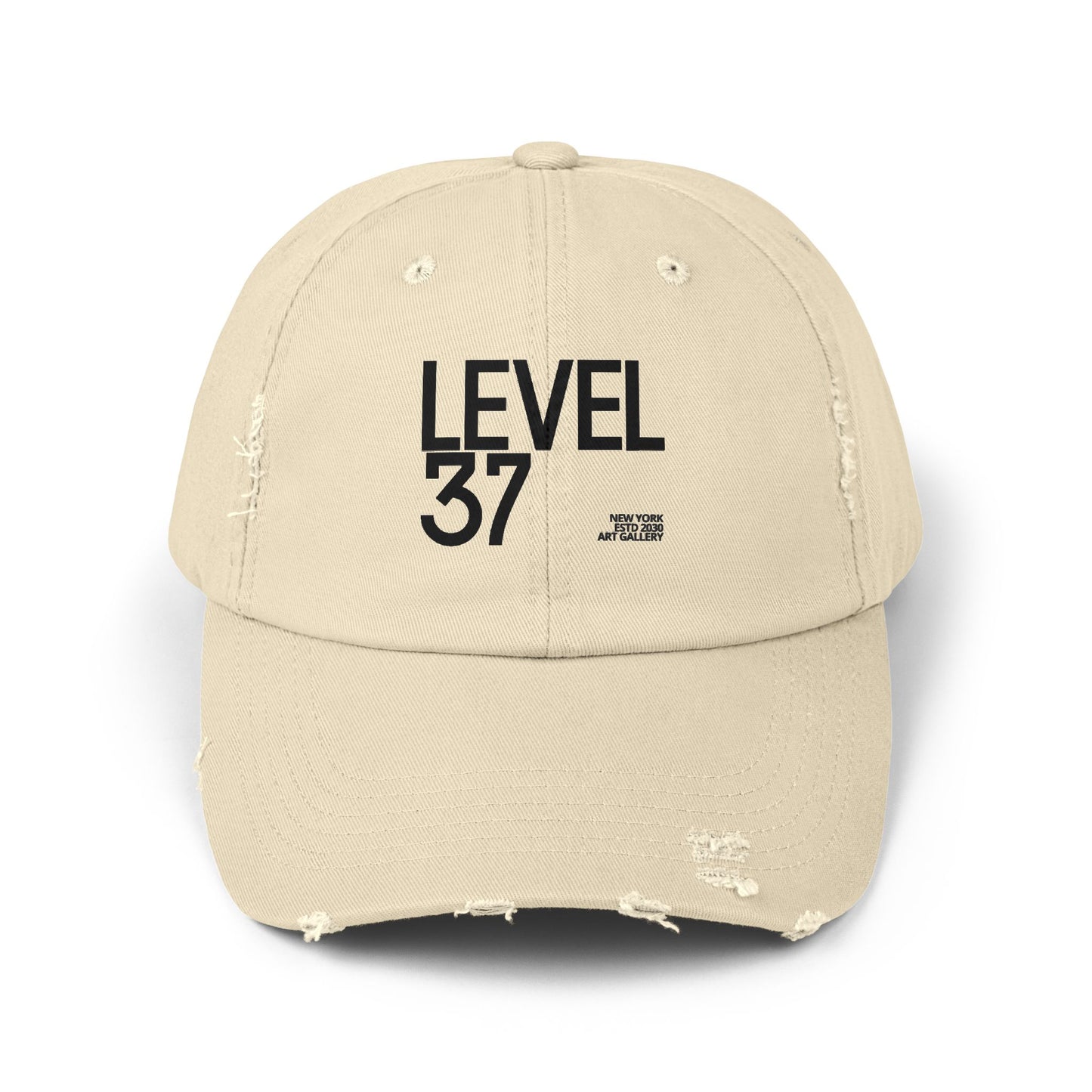 Distressed Cap for Milestone Celebrations, Casual Style, Birthday Gifts, Level Up Theme, Everyday Wear