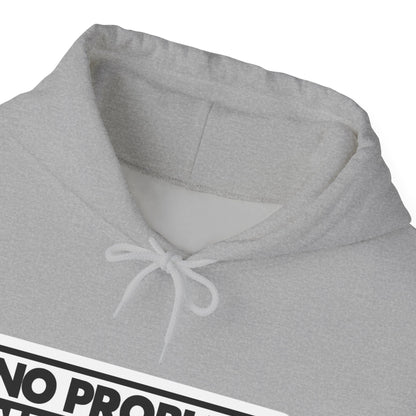 No Problem Graphic Hoodie, Unisex Cozy Sweatshirt, Casual Streetwear, Gift for Friends, Everyday Wear, Fun Fashion