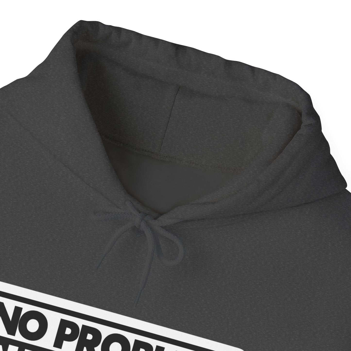 No Problem Graphic Hoodie, Unisex Cozy Sweatshirt, Casual Streetwear, Gift for Friends, Everyday Wear, Fun Fashion