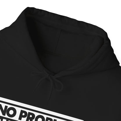 No Problem Graphic Hoodie, Unisex Cozy Sweatshirt, Casual Streetwear, Gift for Friends, Everyday Wear, Fun Fashion